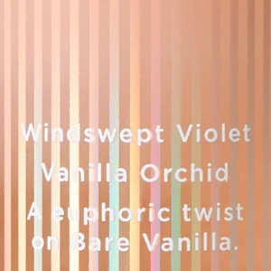 Victoria’s Secret Mist Corporal Bare Vanilla Bliss